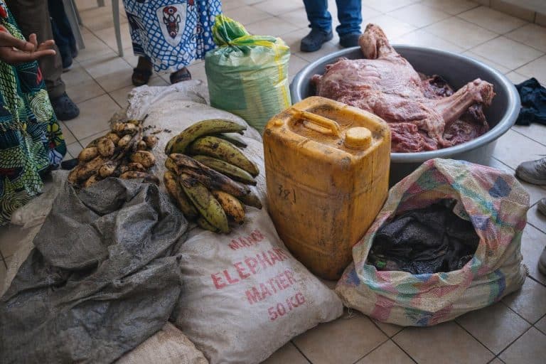Vivres du PCT à Brazza: signal fort avant 2026